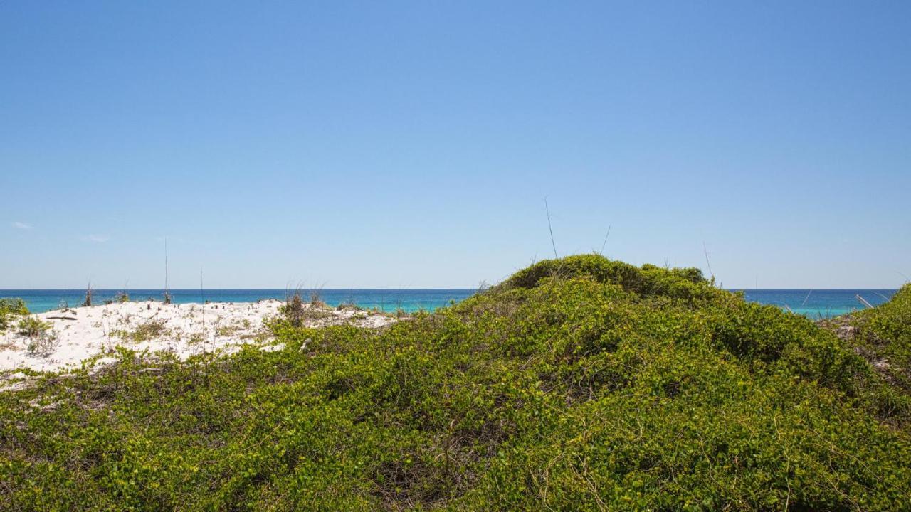 דסטין Hidden Dunes Gulfside 502 - Gulf Front And Updated מראה חיצוני תמונה